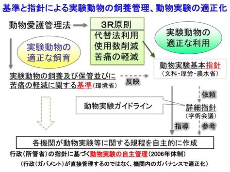 飼養動物|環境省